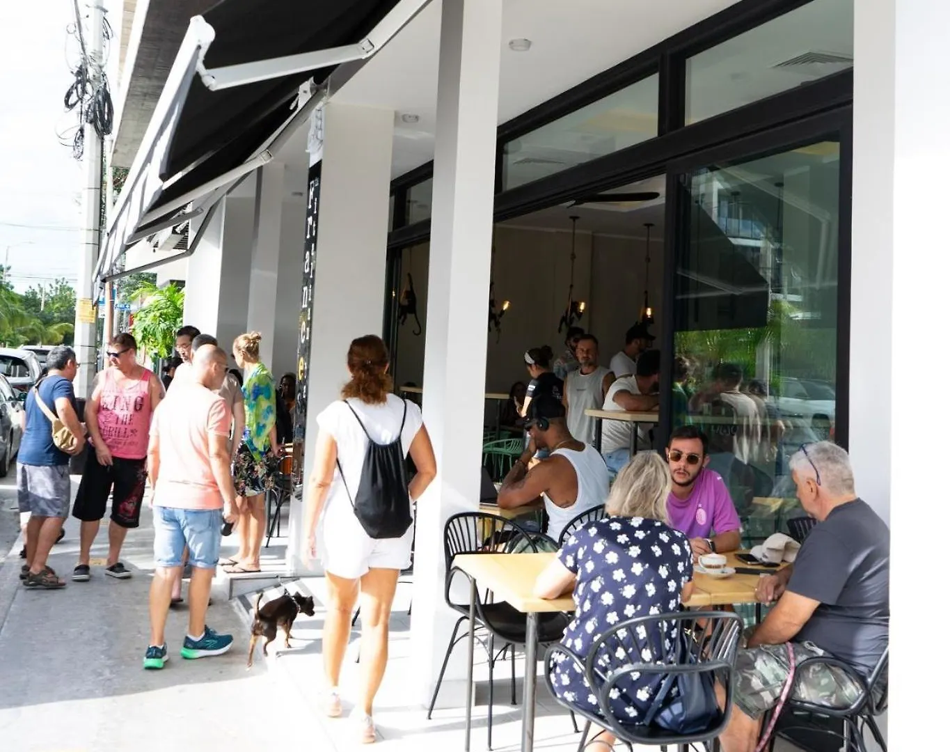 Paradise Apt Steps 5Thav & Beach Playa del Carmen Meksika